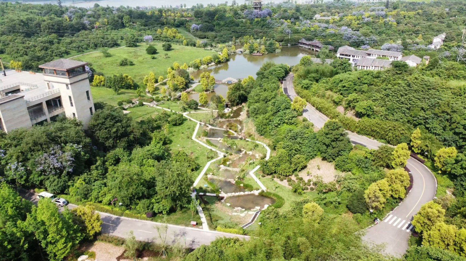 BB贝博艾弗森园林绿化维护